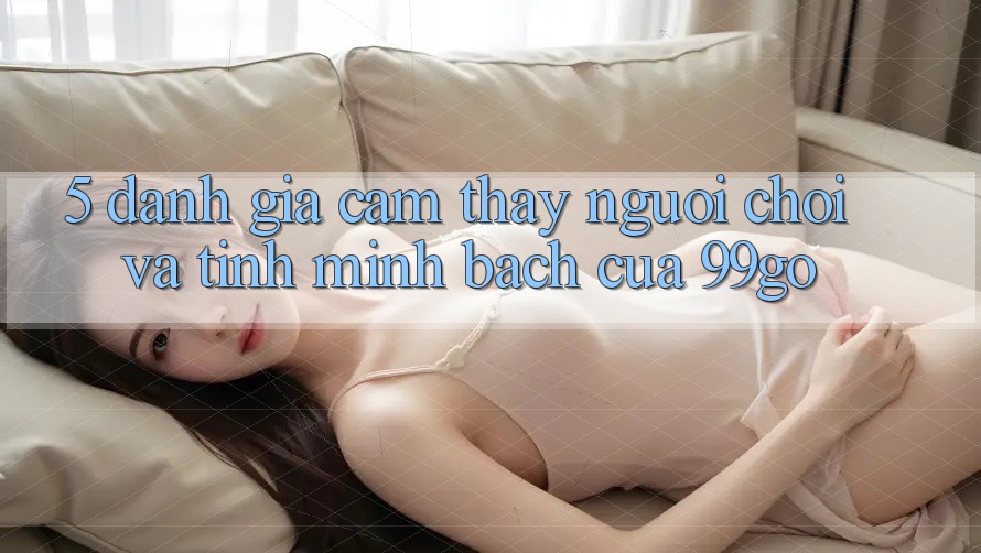 5. Đánh Giá Cảm thấy Người chơi Và Tính Minh bạch Của 99go 5. Đánh Giá Cảm thấy Người chơi Và Tính Minh bạch Của 99go