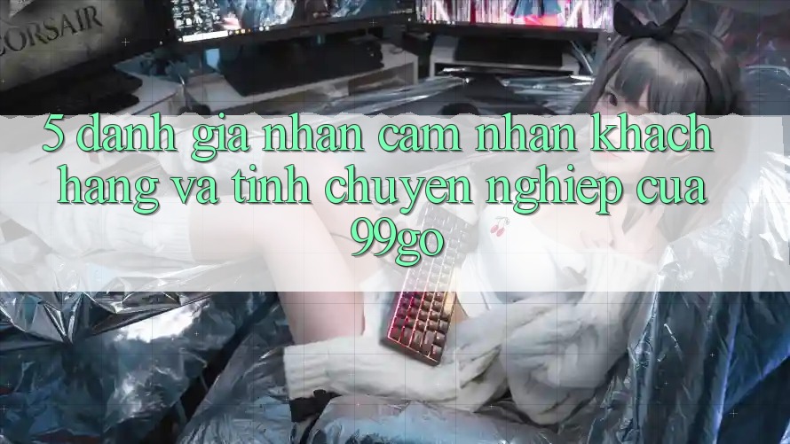 5. Đánh Giá Nhận cảm nhận Khách Hàng Và Tính Chuyên nghiệp Của 99go 5. Đánh Giá Nhận cảm nhận Khách Hàng Và Tính Chuyên nghiệp Của 99go