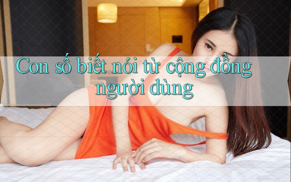 Con số biết nói từ cộng đồng người dùng Con số biết nói từ cộng đồng người dùng