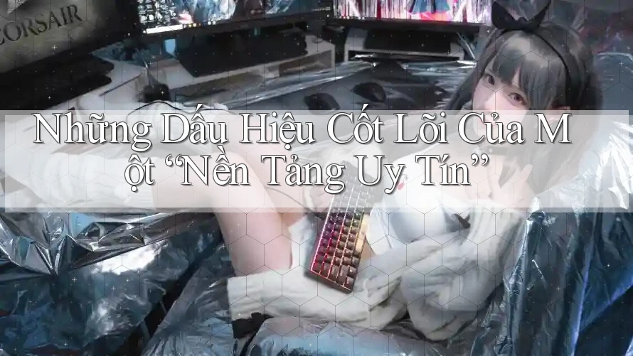 Những Dấu Hiệu Cốt Lõi Của Một “Nền Tảng Uy Tín” Những Dấu Hiệu Cốt Lõi Của Một “Nền Tảng Uy Tín”