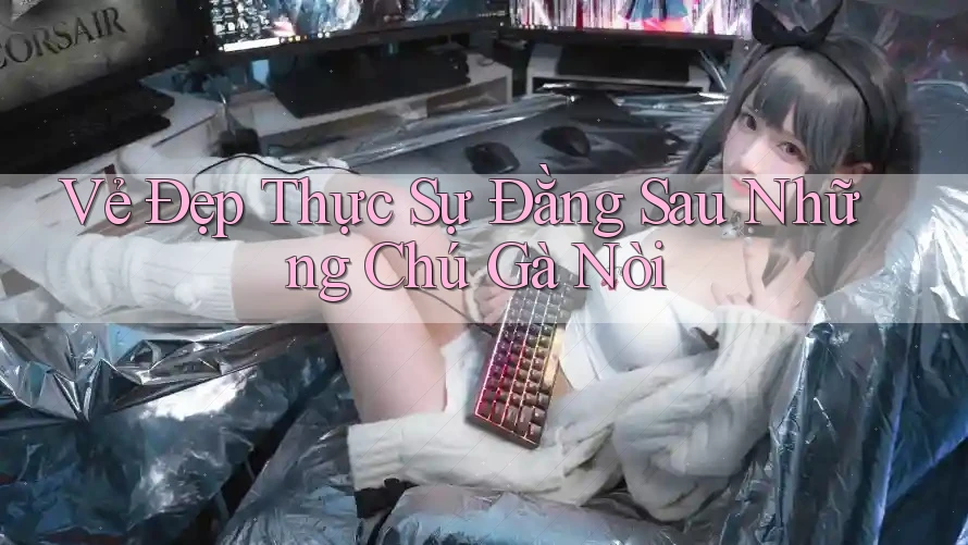 Vẻ Đẹp Thực Sự Đằng Sau Những Chú Gà Nòi Vẻ Đẹp Thực Sự Đằng Sau Những Chú Gà Nòi